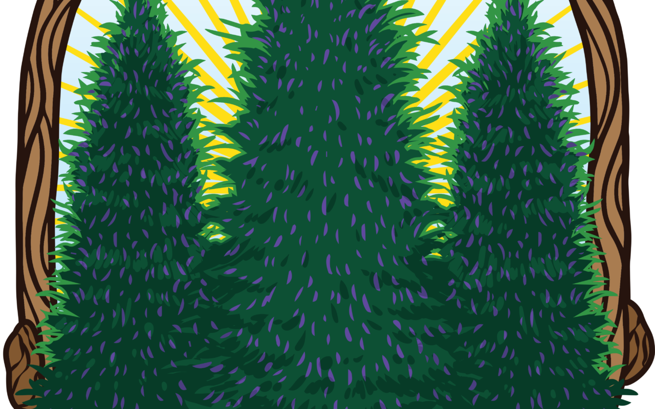 3 Tall Pines