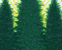 3 Tall Pines