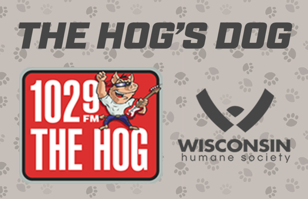 HOG Dog