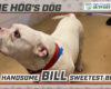 Bill