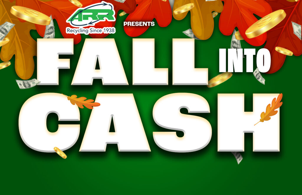 Fall Into Cash