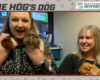 HOG Dog